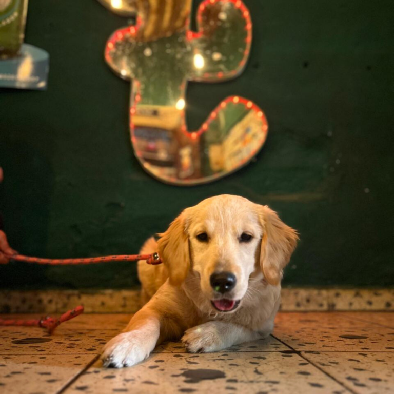 Diseño sin título (2)